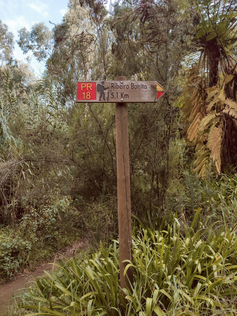PR18 - Levada do Rei Madeira