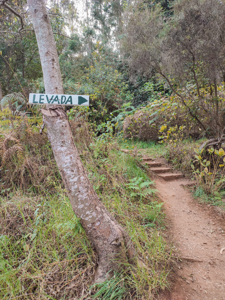 PR18 - Levada do Rei Madeira