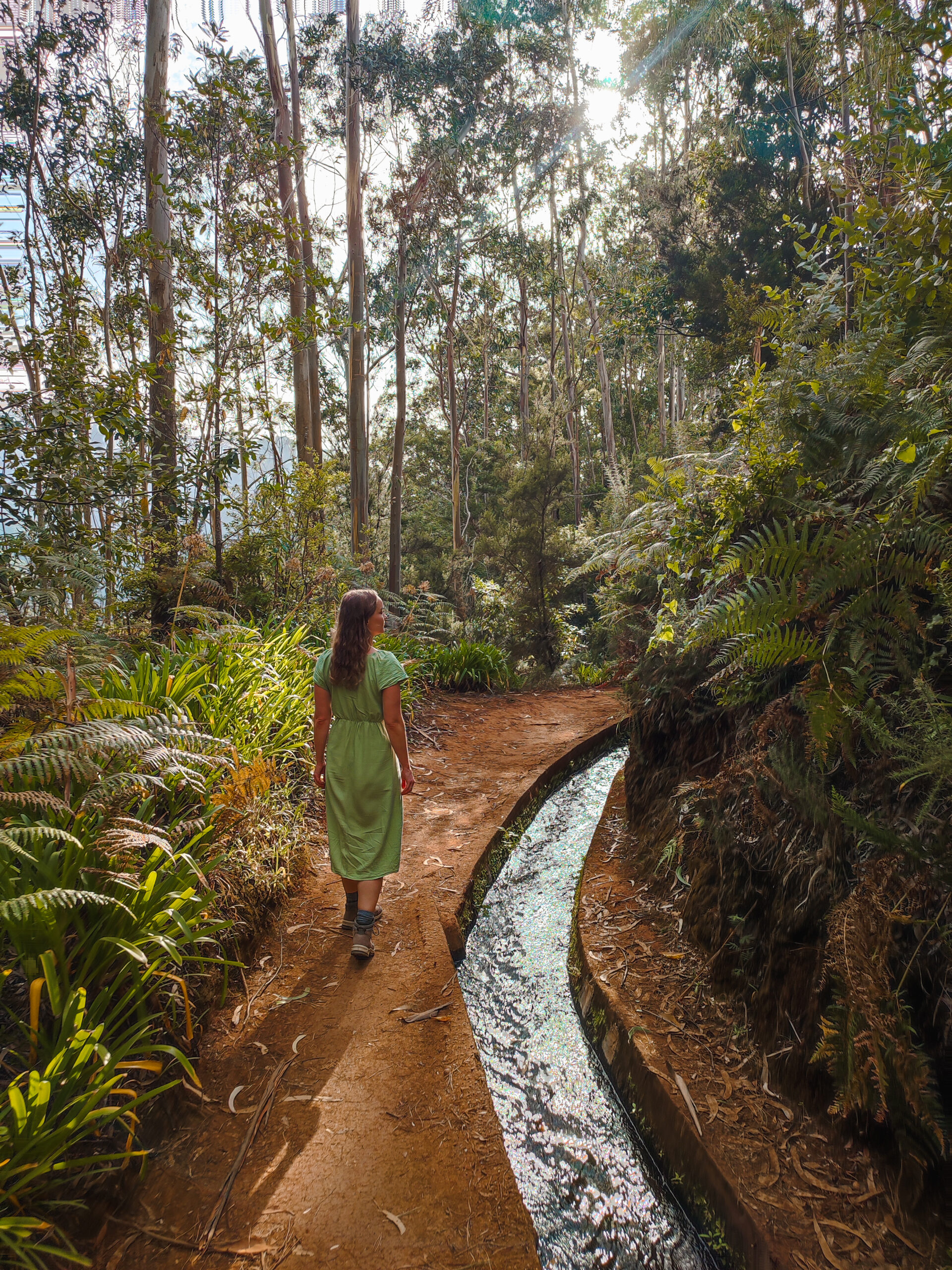 PR18 - Levada do Rei Madeira
